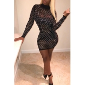 Lovely Sexy Sequined Decorative Black Gauze Mini D