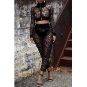 Lovely Sexy Hollowed-out Black Lace Two-piece Pant