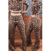 Lovely Sweet Leopard Print Two-piece Pants Set