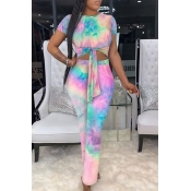 Lovely Casual O Neck Tie-dye Multicolor One-piece 
