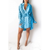 Lovely Casual Leopard Printed Blue Mini Dress(With