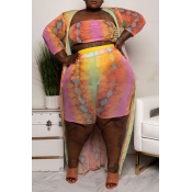 Lovely Casual Printed Multicolor Plus Size Two-Pie