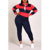Lovely Casual Striped Navy Blue Plus Size Two-piec