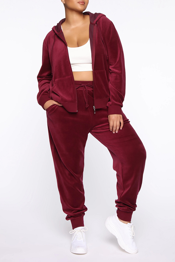 

Lovely Casual Hooded Collar Basic Wine Red Two-piece Pants Set
