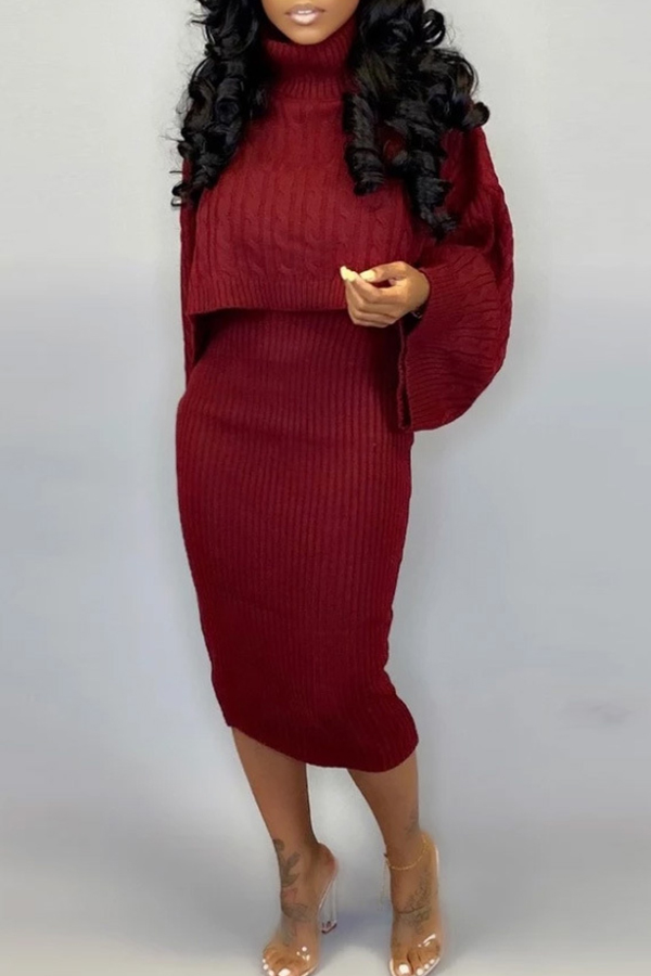 

Lovely Casual Turtleneck Red Two-piece Skirt Set