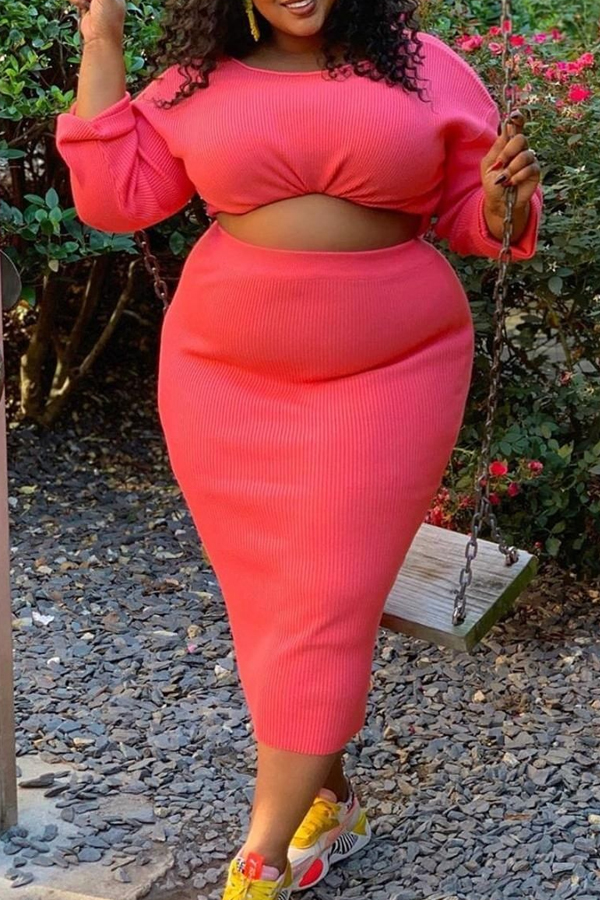 

Lovely Casual Skinny Pink Plus Size Two-piece Skirt Set