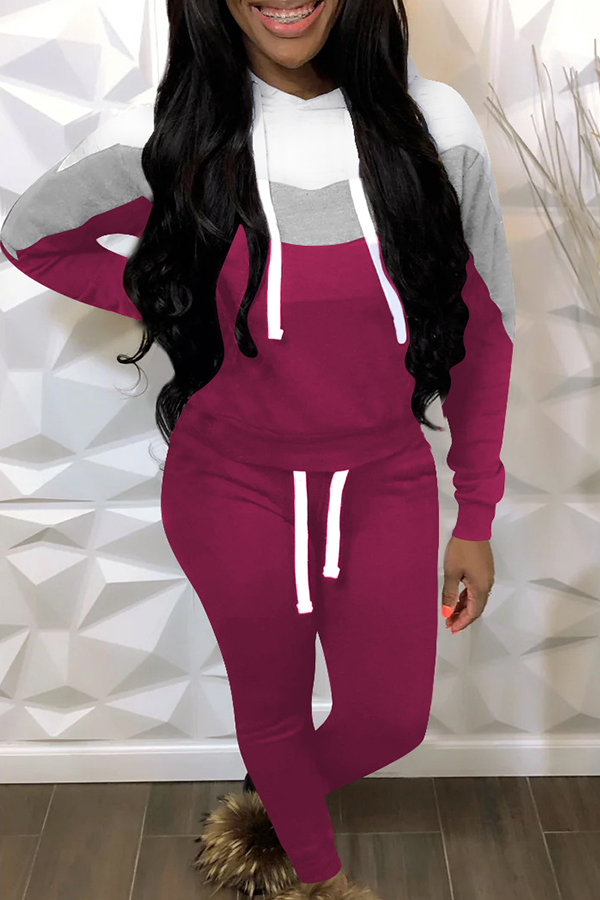

Lovely Casual Patchwork Purple Two-piece Pants Set
