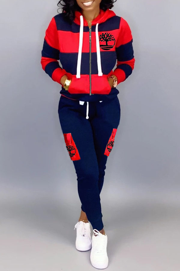 

Lovely Casual Patchwork Dark Blue Two-piece Pants Set