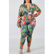 Lovely Casual Printed Multicolor Plus Size Two-pie