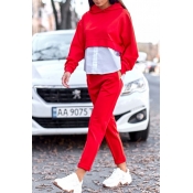 Lovely Casual Patchwork Red Two-piece Pants Set