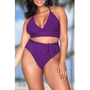 Lovely V Neck Purple Plus Size Two-piece Swimwear