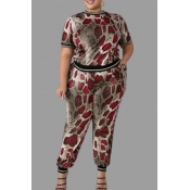 Lovely Casual Snakeskin Print Plus Size Two-piece 