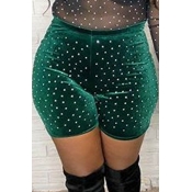 Lovely Casual Green Velvet Shorts