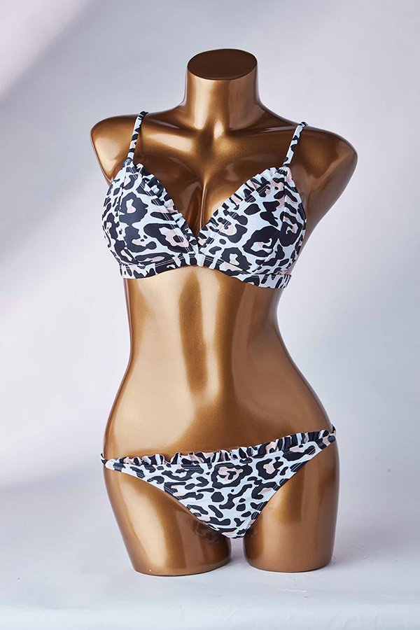 

Lovely Leopard Print Two-piece Swimsuit