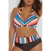 Lovely Striped Multicolor Plus Size Two-piece Swim