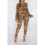 Lovely Casual Print Coffee Two-piece Pants Set