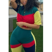 Lovely  Casual Patchwork Blackish Green Two-piece 