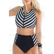 Lovely Striped Black Two-piece Swimsuit