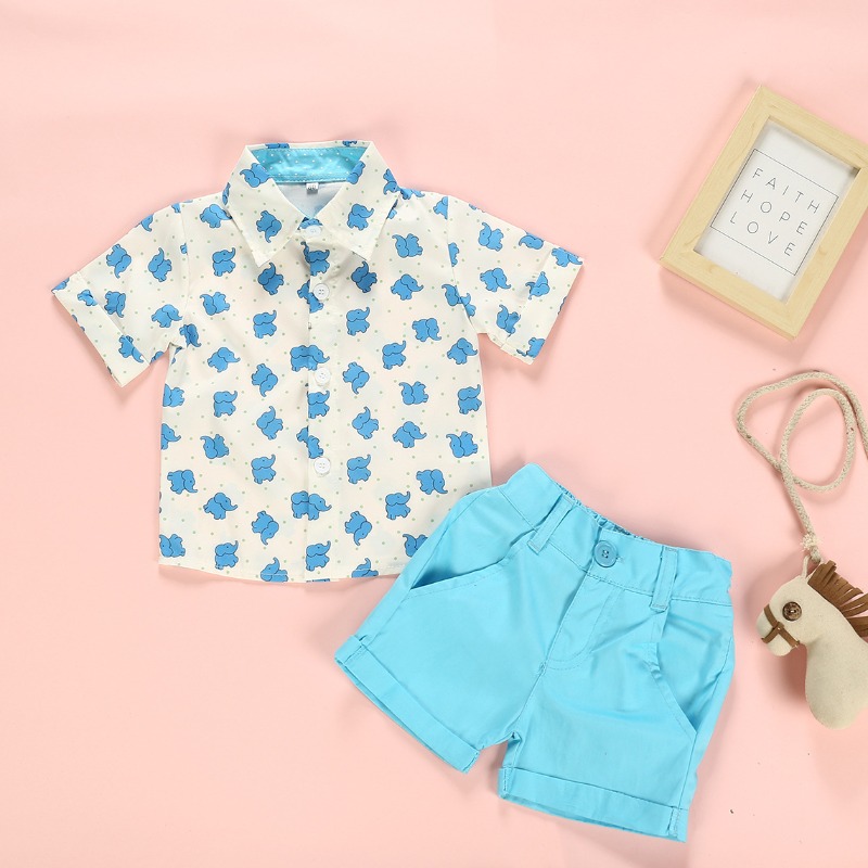

lovely Casual Print Blue Boy Two-piece Shorts Set