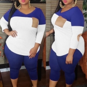 Lovely Casual Patchwork Blue Plus Size Two-piece P