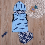lovely Casual Print Baby Blue Boy Two-piece Shorts