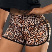 lovely Sportswear Leopard Print Shorts