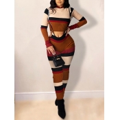 Lovely Stylish Striped Skinny Brown Two Piece Pant