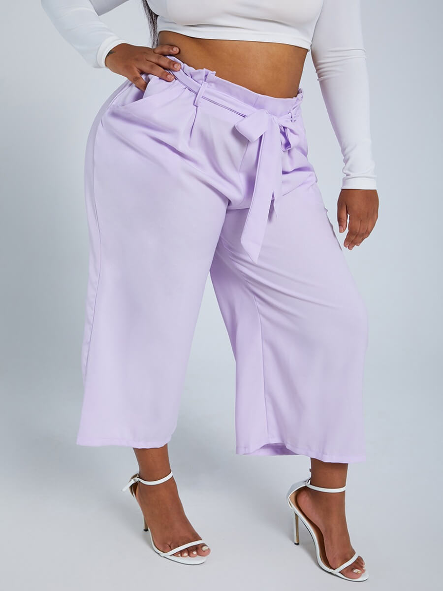 Lovely Leisure Lace-up Light Purple Plus Size Pants