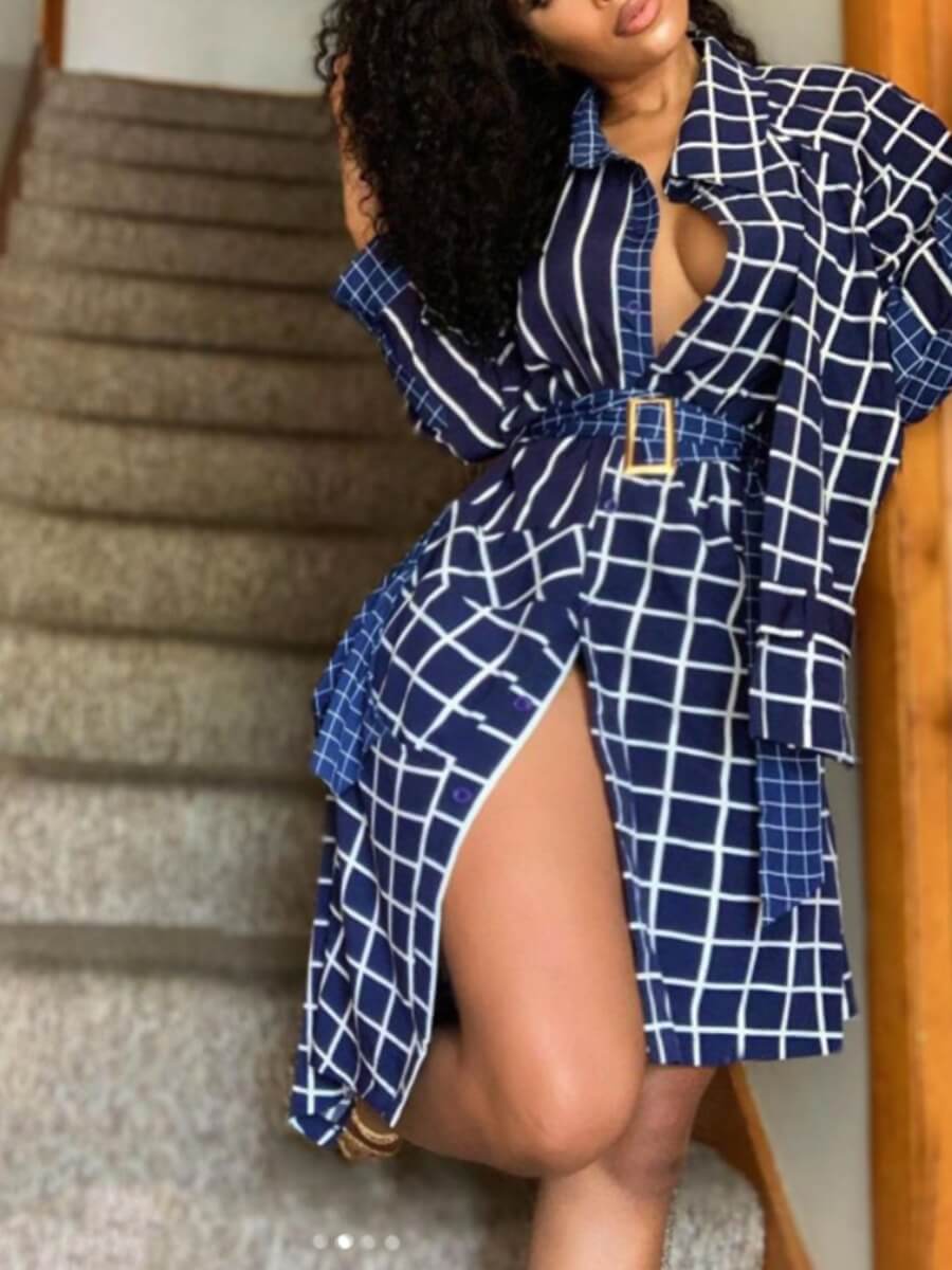 

Lovely Plus Size Casual Turndown Collar Grid Print Blue Knee Length Dress