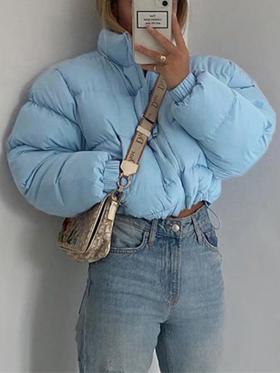 

Lovely Casual Zipper Design Blue Parka