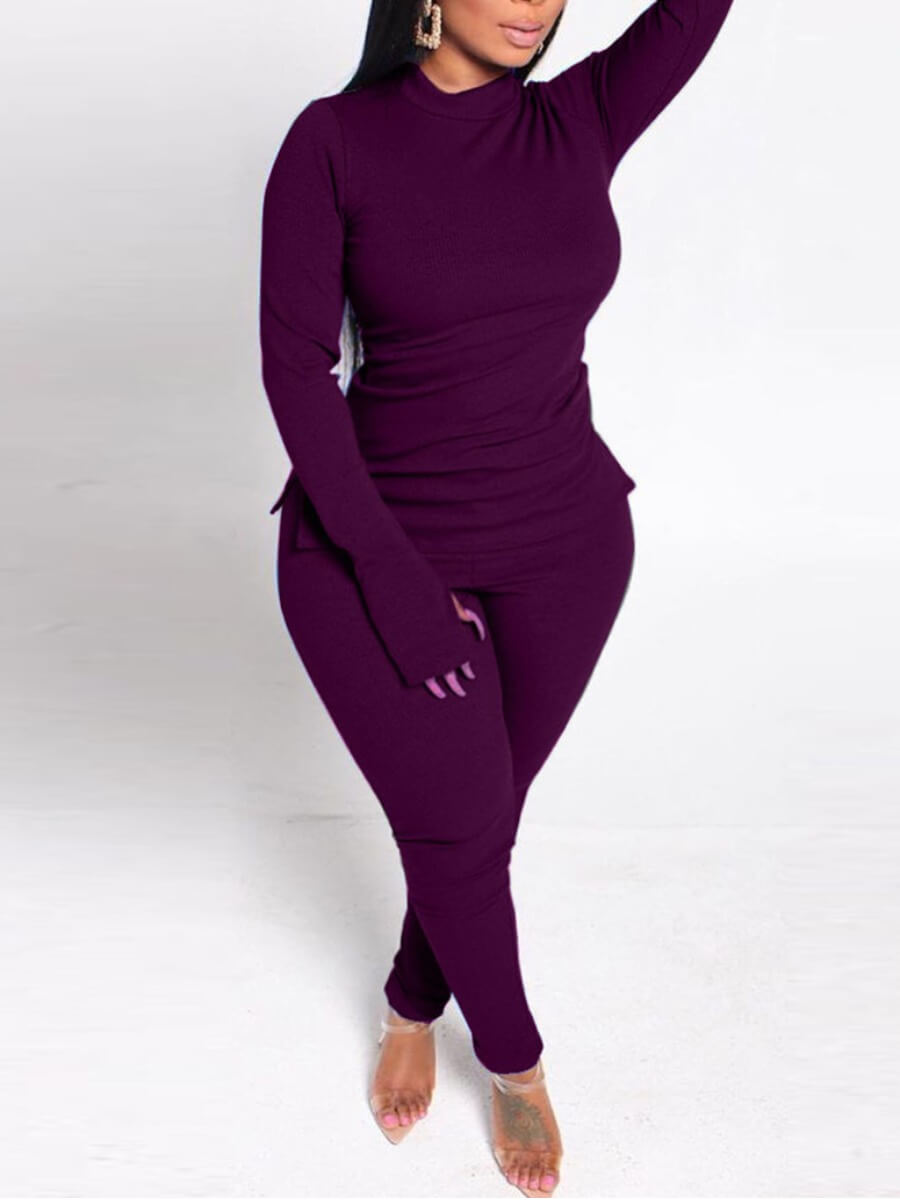 

Lovely Casual Turtleneck Skinny Purple Plus Size Two-piece Pants Set