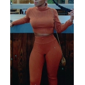 LW BASICS Casual Turtleneck Long Sleeve Jacinth Tw