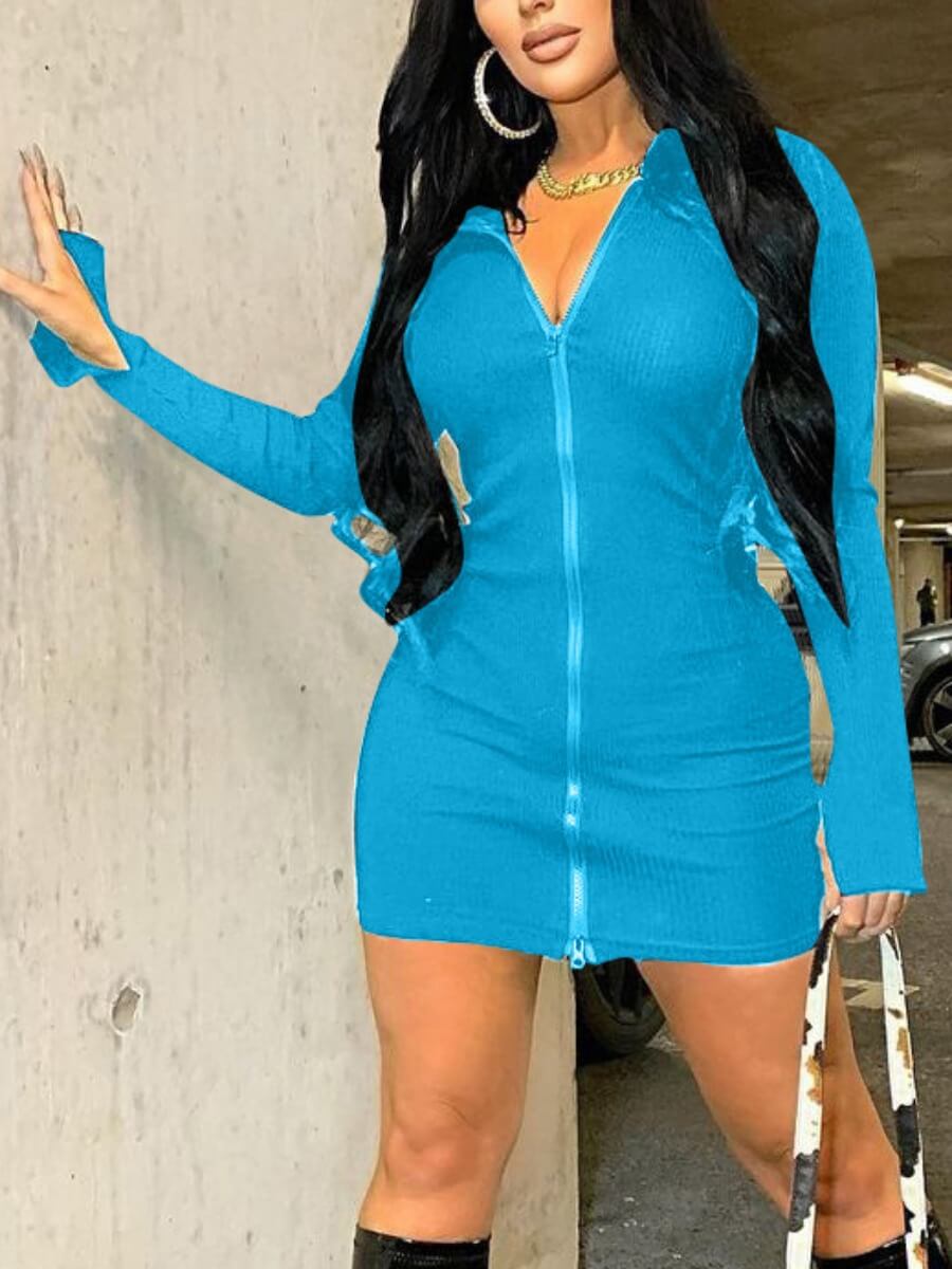 

Lovely Casual Turndown Collar Zipper Design Baby Blue Mini Dress