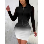 Lovely Street Turndown Collar Gradient Black Mini 