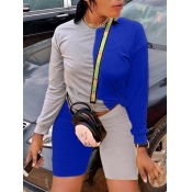Lovely Casual O Neck Patchwork Blue Two Piece Shor