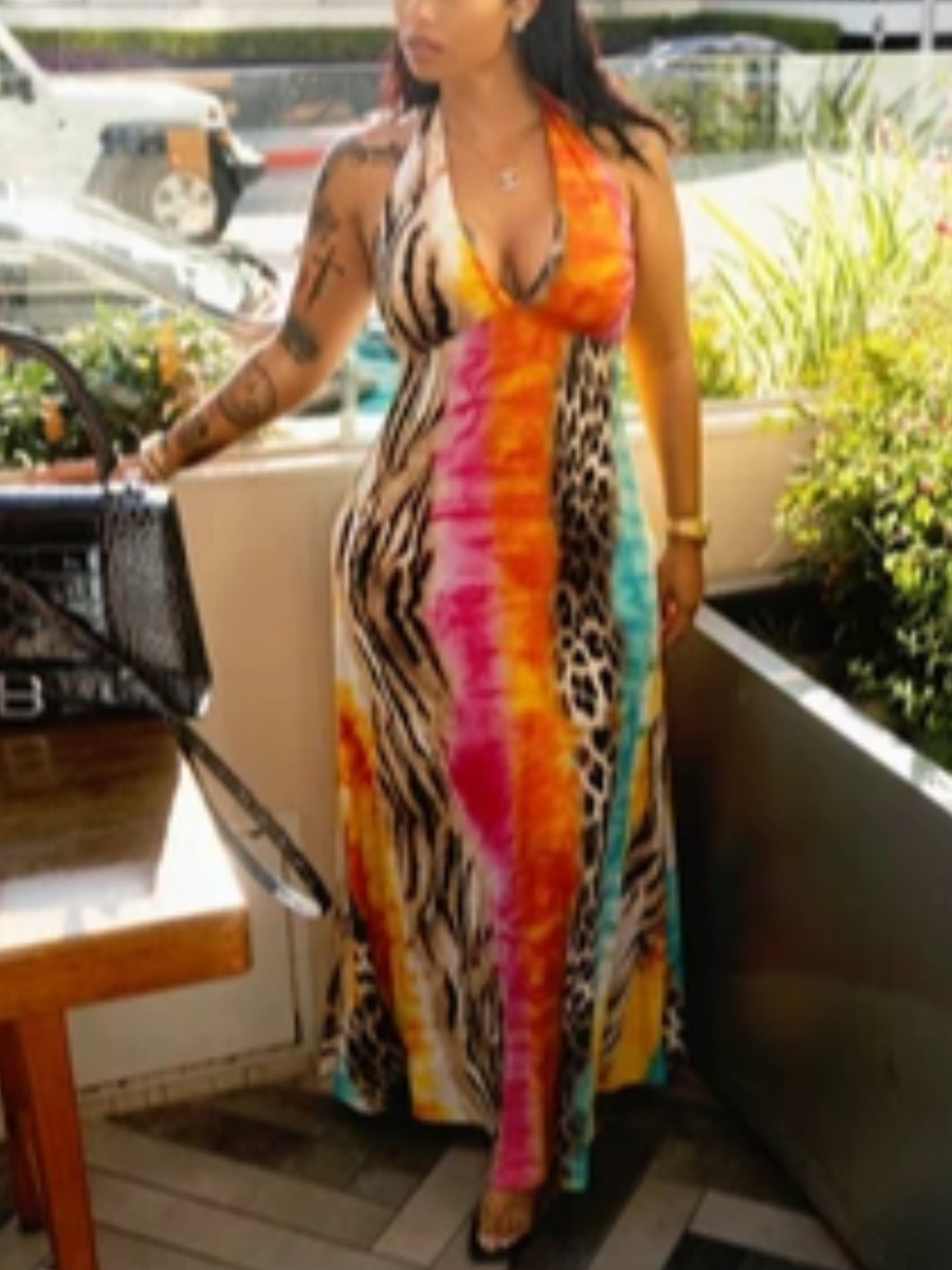 

Lovely Boho V Neck Leopard Print Multicolor Floor Length Dress, Multi