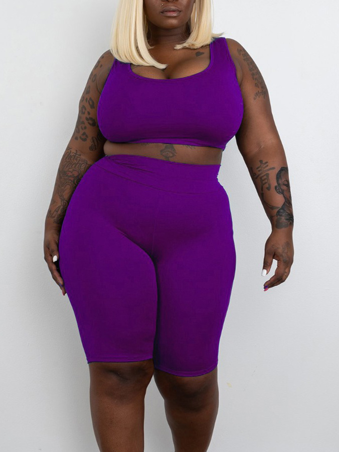 

Lovely Plus Size Casual U Neck High-waisted Purple Two-piece Shorts Set