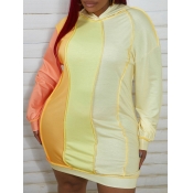 LW Plus Size Color Block Patchwork Sweat Dress