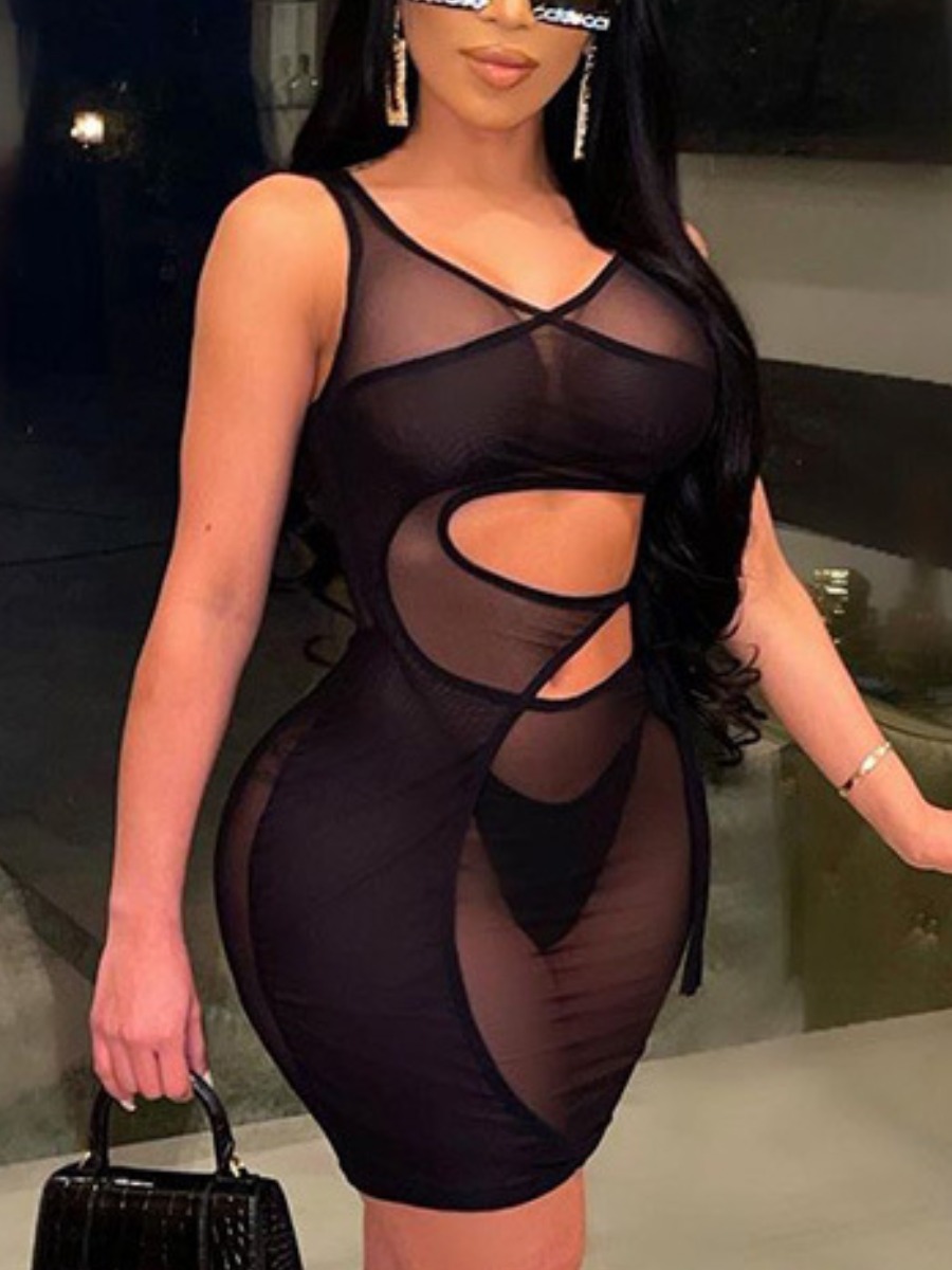 

LW SXY Gauze See-through Tie Front Bodycon Dress, Black