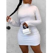 LW BASICS Turtleneck Bodycon Dress