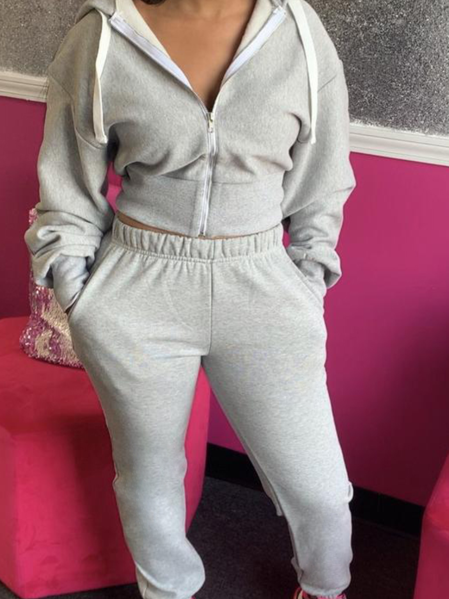 LovelyWholesale Hooded Collar Zipper Design Tracksuit Set Fall Long Sleeve Casual Basic Hooded Collar Spring Summer 2024