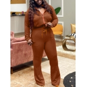 LW BASICS Plus Size Bandage Design Solid Color Two